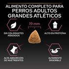 Purina Pro Plan Large Athletic Adult Salmón piel sensible pienso para perros, , large image number null